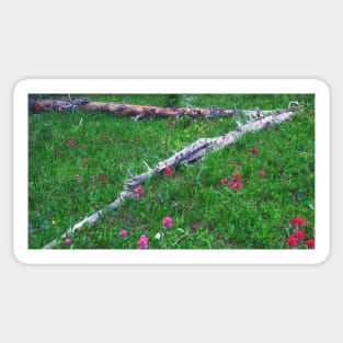 Mountain Meadow  Wildflowers Sticker